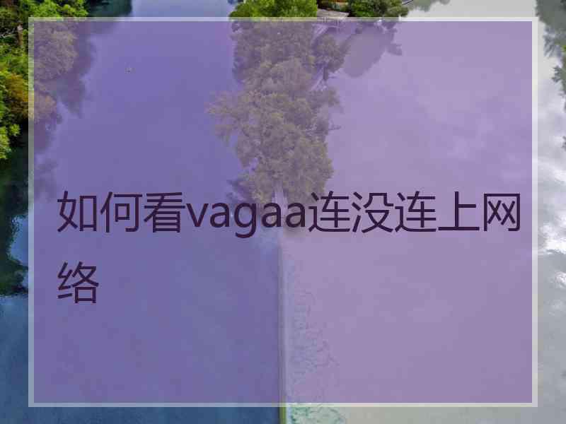 如何看vagaa连没连上网络