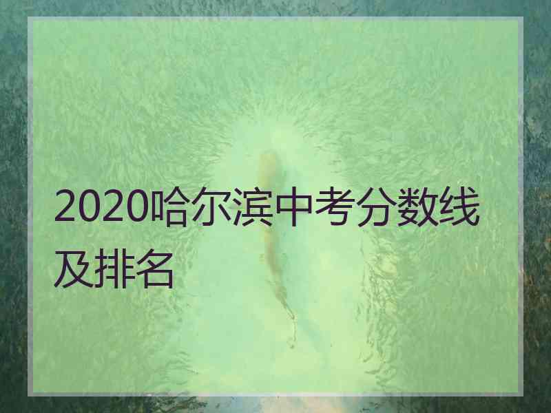 2020哈尔滨中考分数线及排名