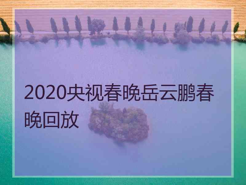 2020央视春晚岳云鹏春晚回放