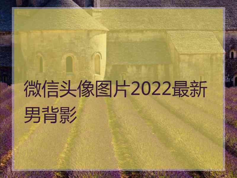 微信头像图片2022最新男背影