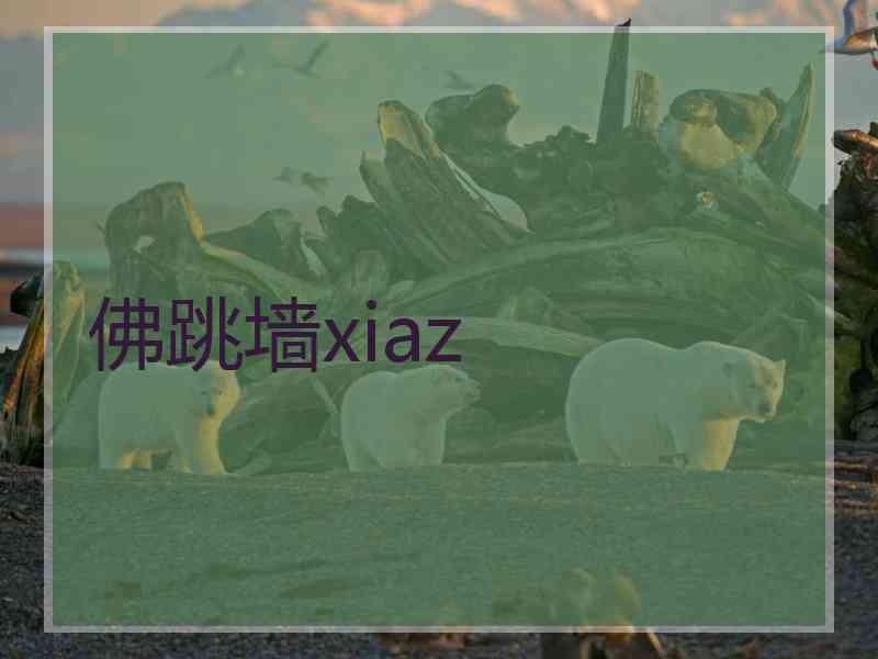 佛跳墙xiaz