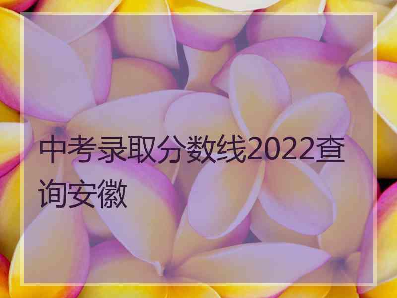 中考录取分数线2022查询安徽