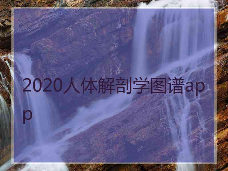 2020人体解剖学图谱app