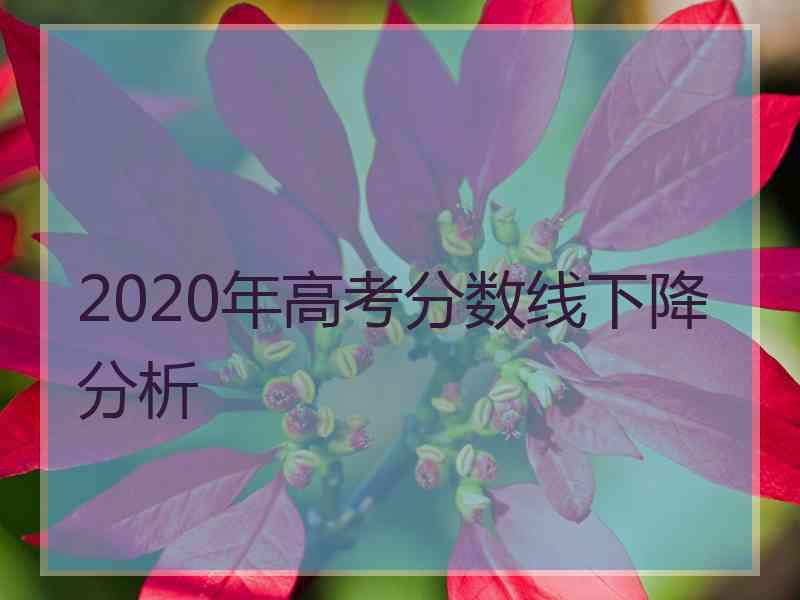 2020年高考分数线下降分析