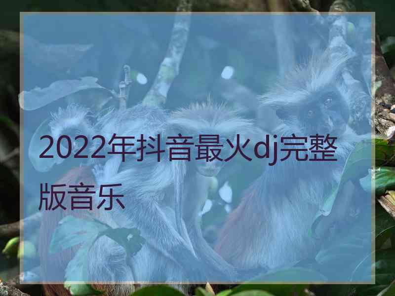 2022年抖音最火dj完整版音乐