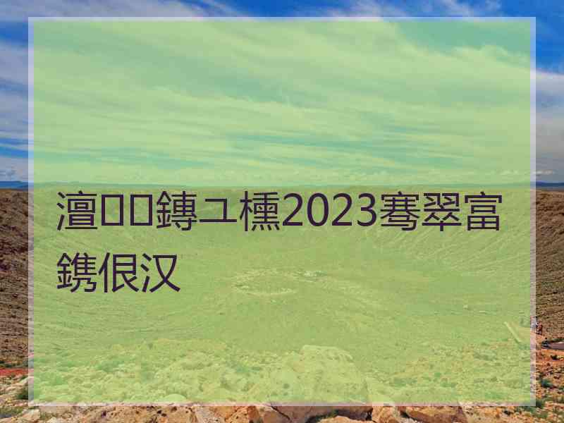 澶鏄ユ櫄2023骞翠富鎸佷汉