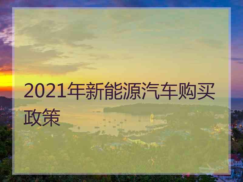 2021年新能源汽车购买政策