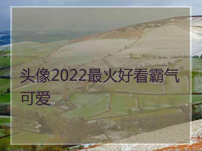 头像2022最火好看霸气可爱