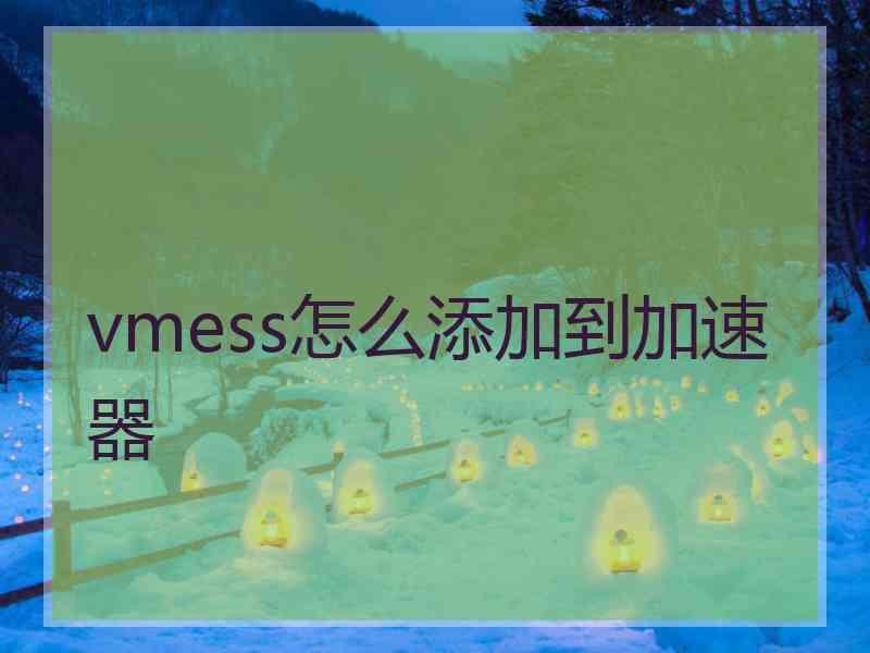 vmess怎么添加到加速器