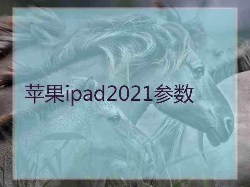 苹果ipad2021参数