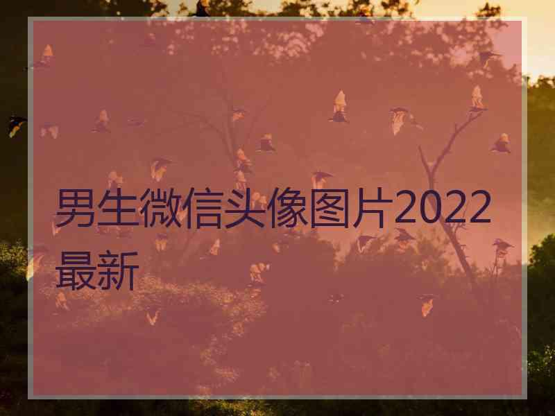 男生微信头像图片2022最新