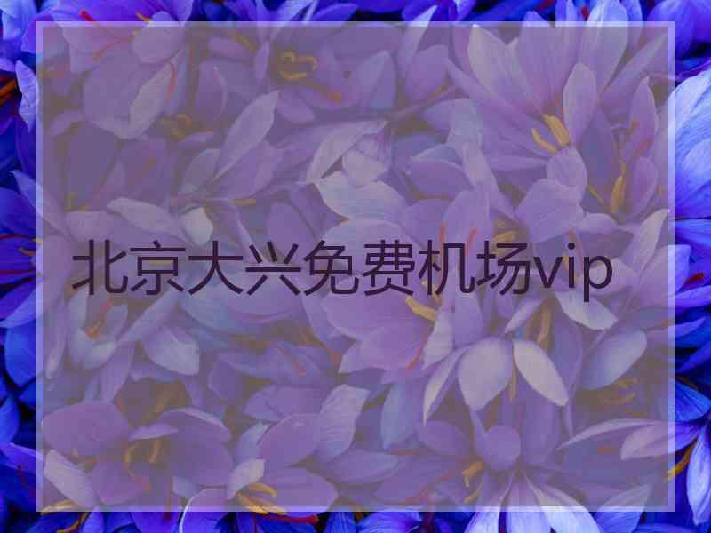 北京大兴免费机场vip