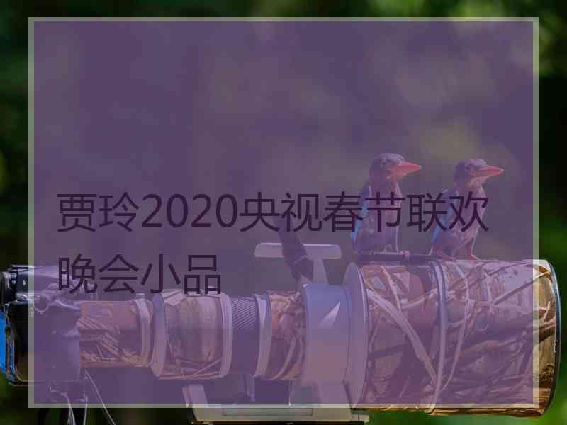 贾玲2020央视春节联欢晚会小品