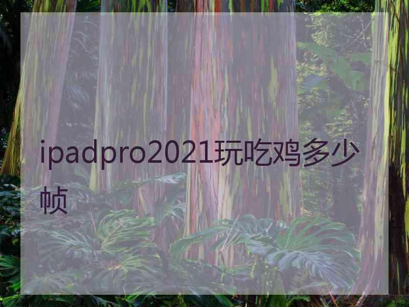 ipadpro2021玩吃鸡多少帧