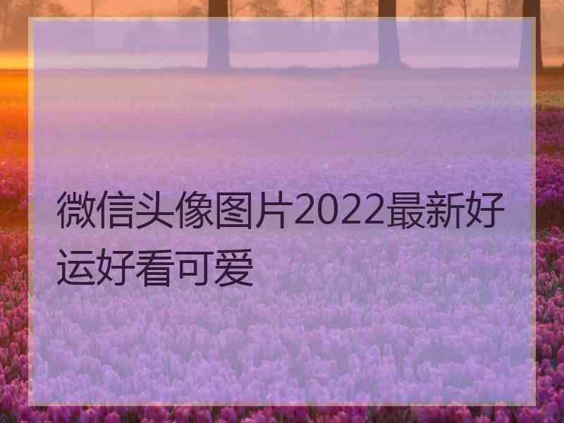 微信头像图片2022最新好运好看可爱