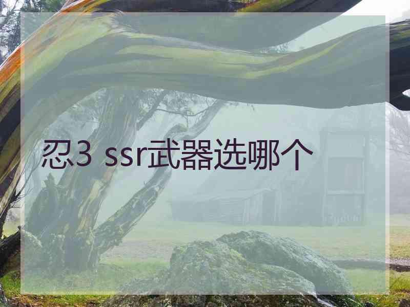 忍3 ssr武器选哪个