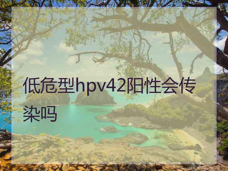 低危型hpv42阳性会传染吗