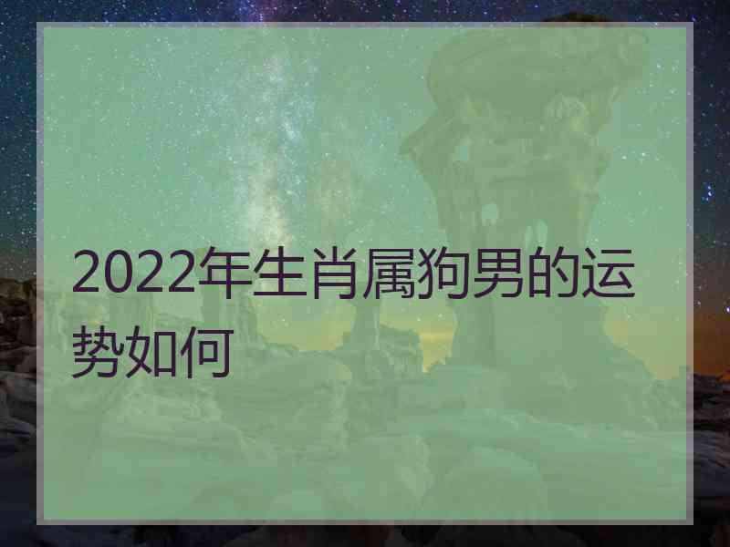 2022年生肖属狗男的运势如何