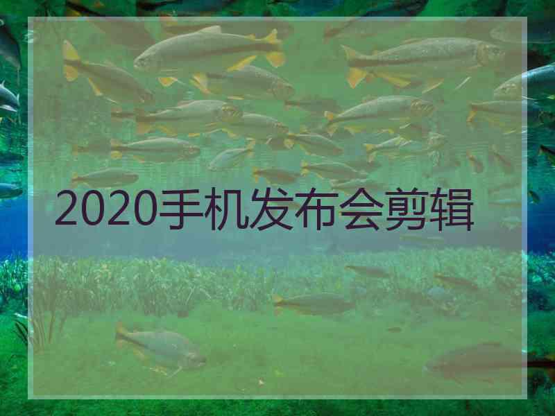 2020手机发布会剪辑