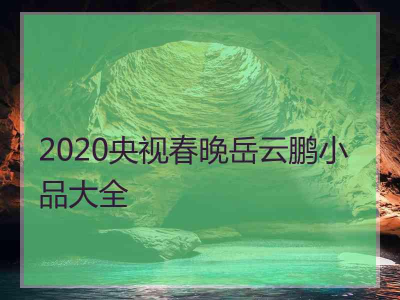 2020央视春晚岳云鹏小品大全