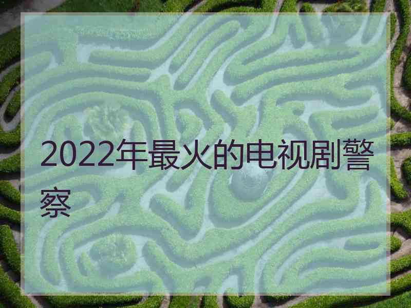 2022年最火的电视剧警察