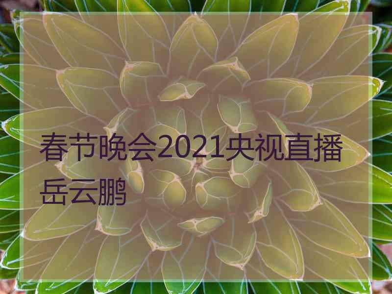 春节晚会2021央视直播岳云鹏