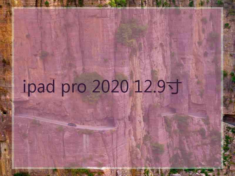 ipad pro 2020 12.9寸