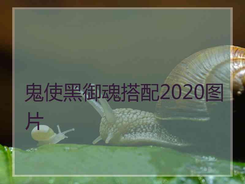 鬼使黑御魂搭配2020图片