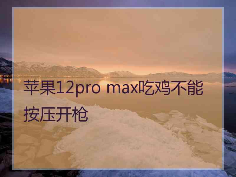 苹果12pro max吃鸡不能按压开枪