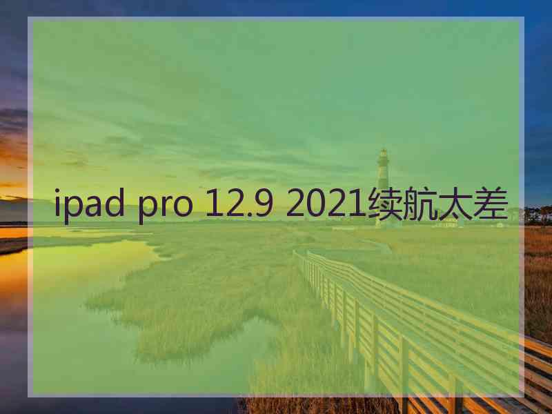 ipad pro 12.9 2021续航太差