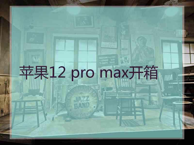 苹果12 pro max开箱