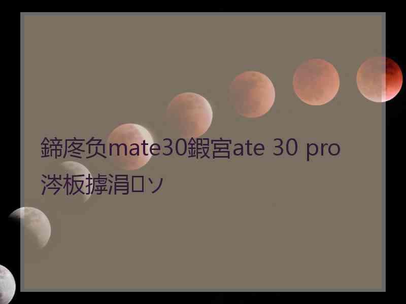 鍗庝负mate30鍜宮ate 30 pro涔板摢涓ソ