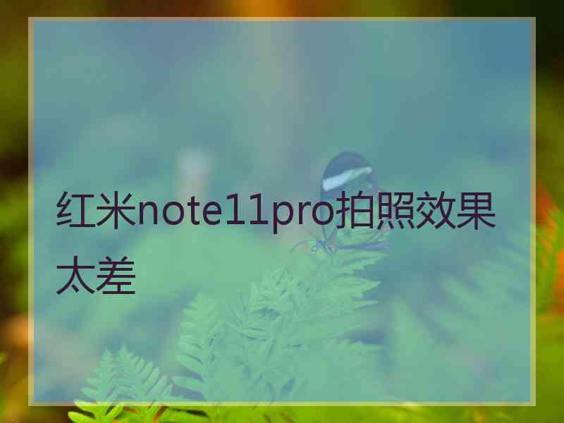 红米note11pro拍照效果太差