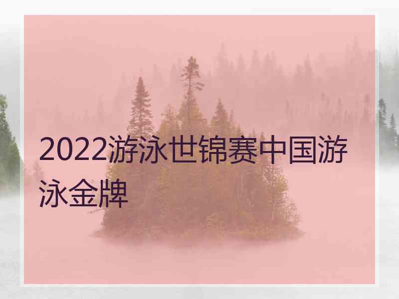 2022游泳世锦赛中国游泳金牌