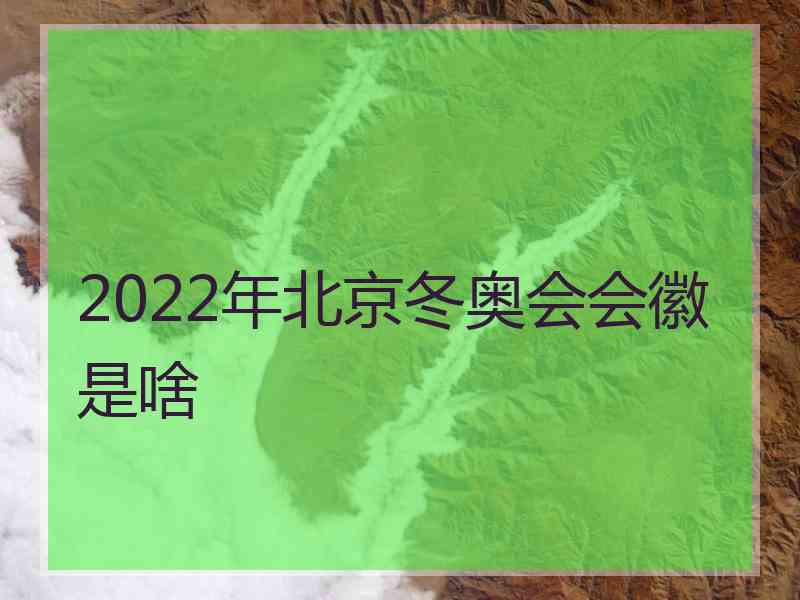 2022年北京冬奥会会徽是啥