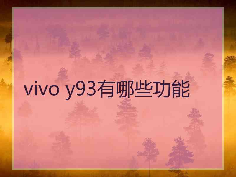 vivo y93有哪些功能