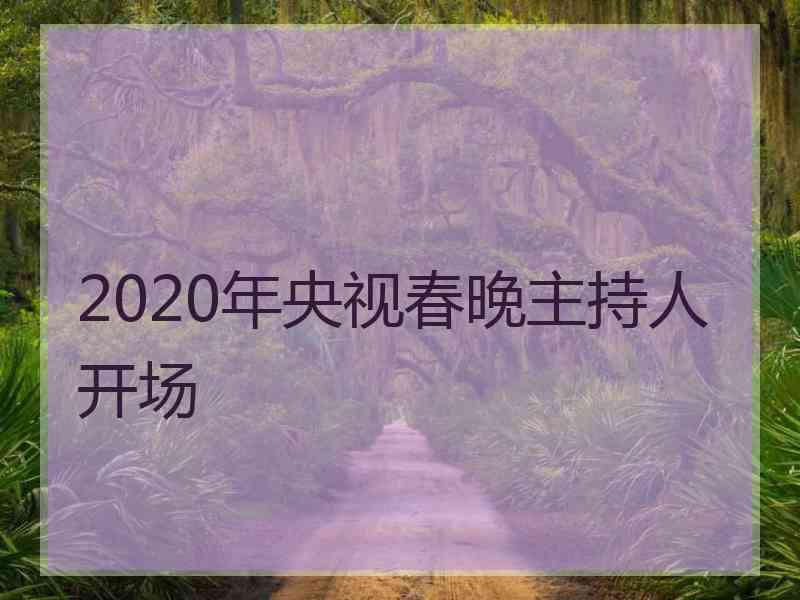 2020年央视春晚主持人开场