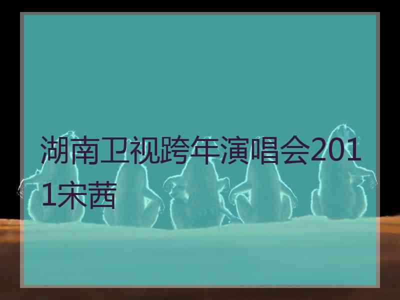 湖南卫视跨年演唱会2011宋茜