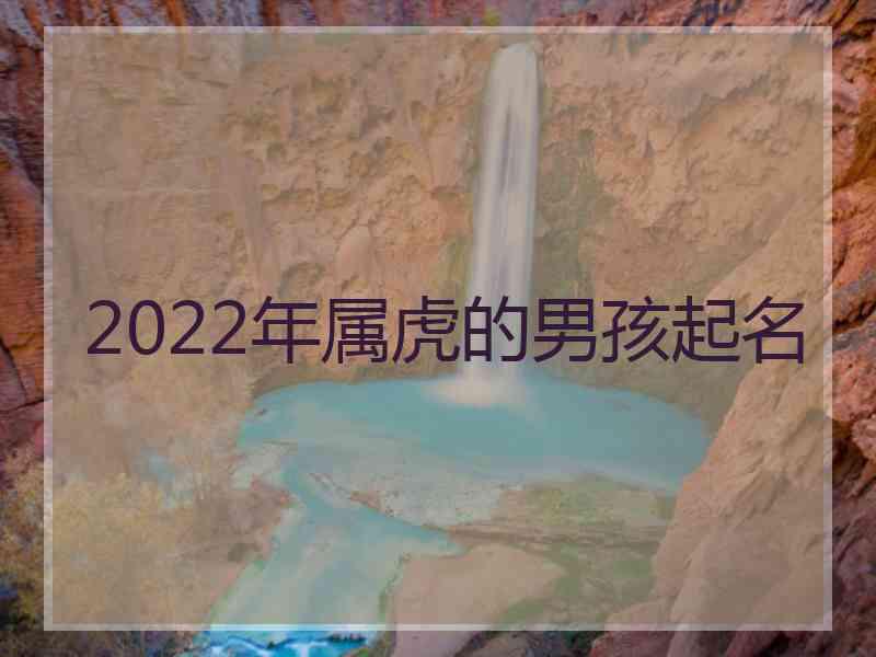 2022年属虎的男孩起名