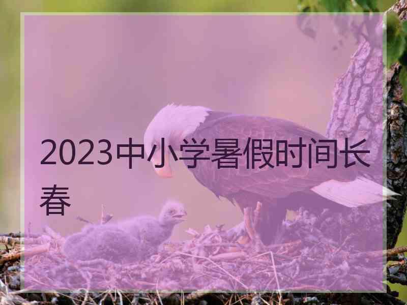 2023中小学暑假时间长春