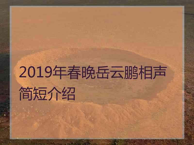 2019年春晚岳云鹏相声简短介绍