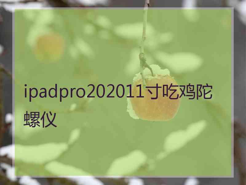 ipadpro202011寸吃鸡陀螺仪