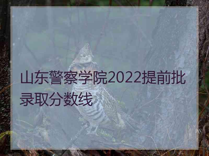 山东警察学院2022提前批录取分数线