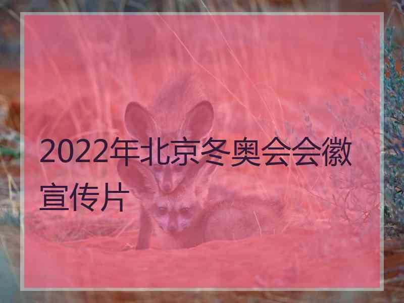 2022年北京冬奥会会徽宣传片