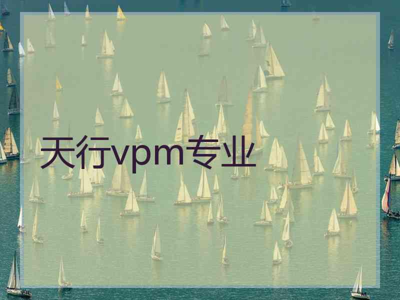 天行vpm专业