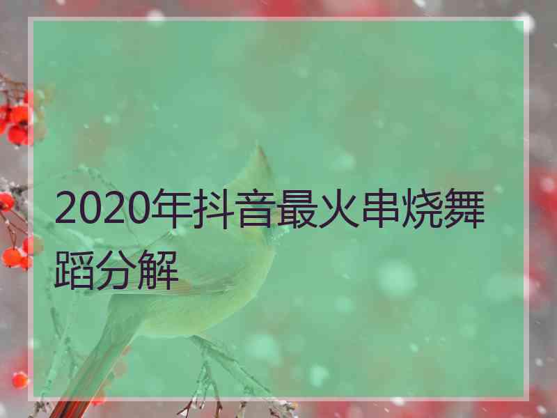 2020年抖音最火串烧舞蹈分解