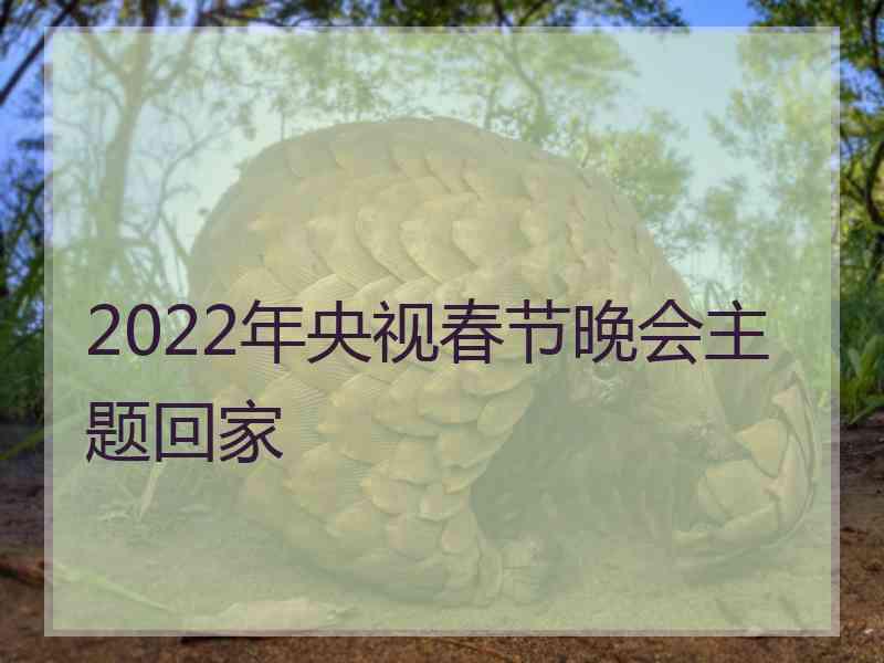 2022年央视春节晚会主题回家