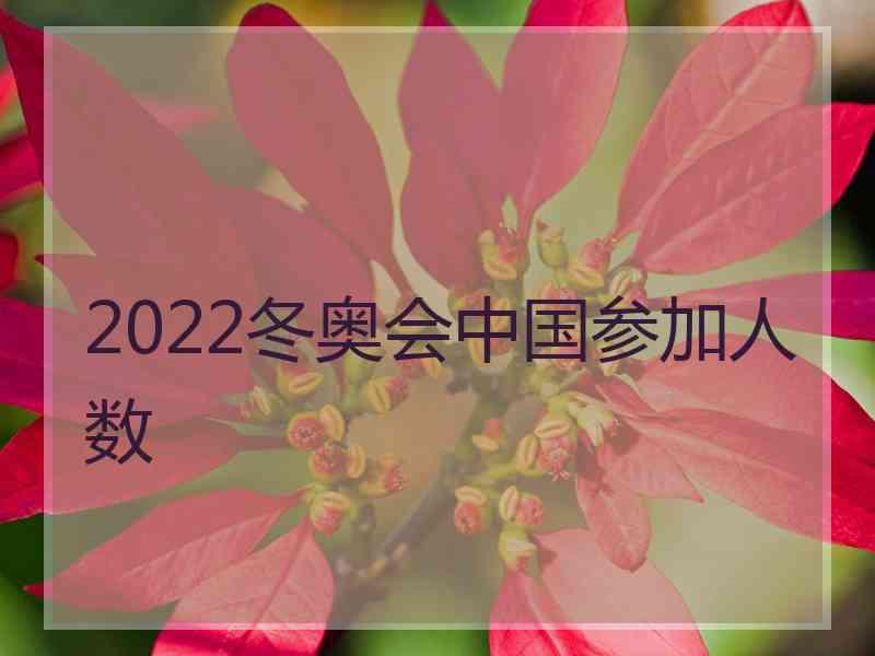 2022冬奥会中国参加人数