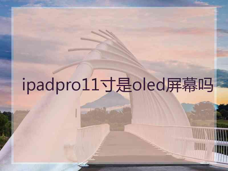 ipadpro11寸是oled屏幕吗