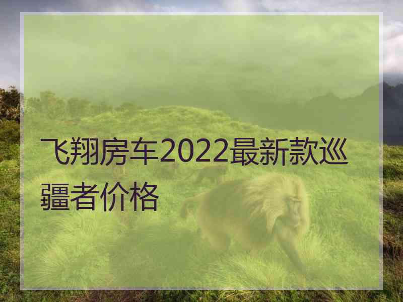 飞翔房车2022最新款巡疆者价格